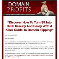 Turnkey Domain Profits Website Script & eBook