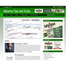AdSense Tips & Tricks Niche Blog